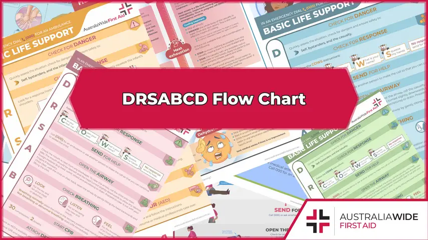 DRSABCD Flow Chart (cover)